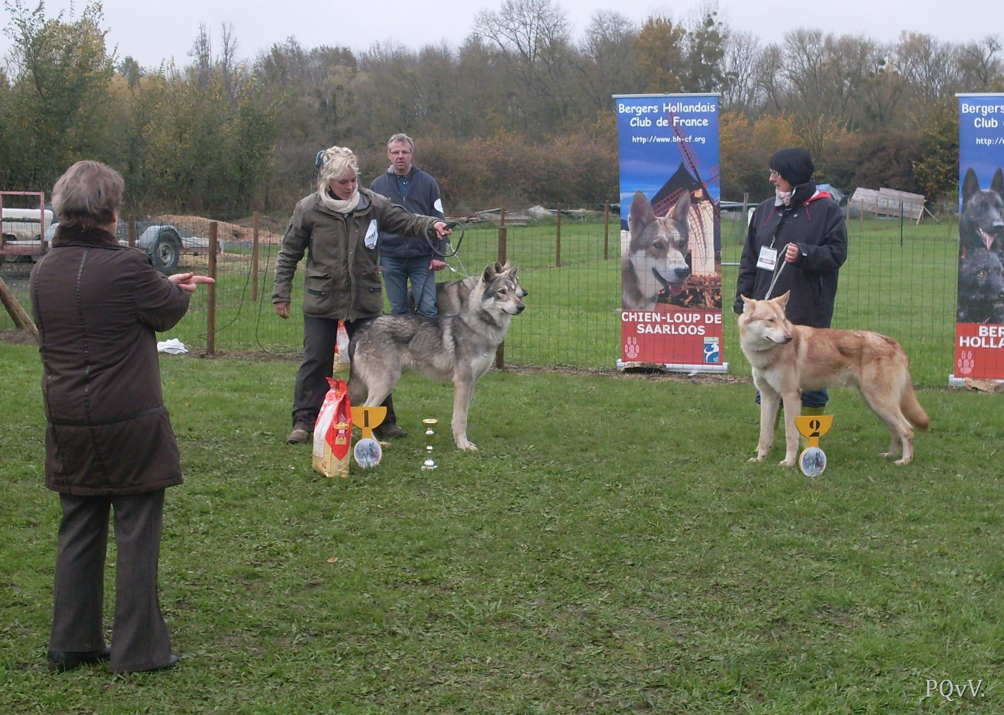  classe intermediaire males : Greywolf Gevaudan et Ghinzu Gaaram